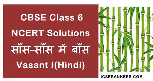 NCERT Solutions for Class 6th Hindi Chapter 17 साँस-साँस में बाँस