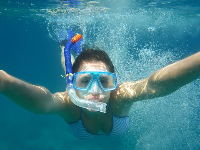 Scuba Diving and Snorkeling 