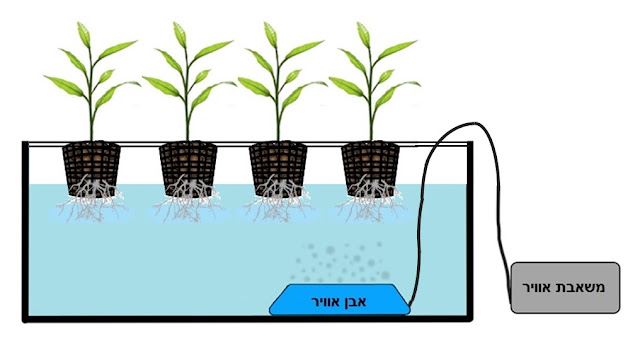 DWC System