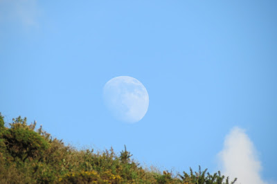 A shot of the rising moon against blue sky.