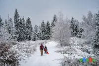 Przyjemna pętla na Błatnią w Beskidzie Śląskim, oferuje zarówno ładne widoki, wędrówki przez długie hale, jak również odpoczynek w schronisku.