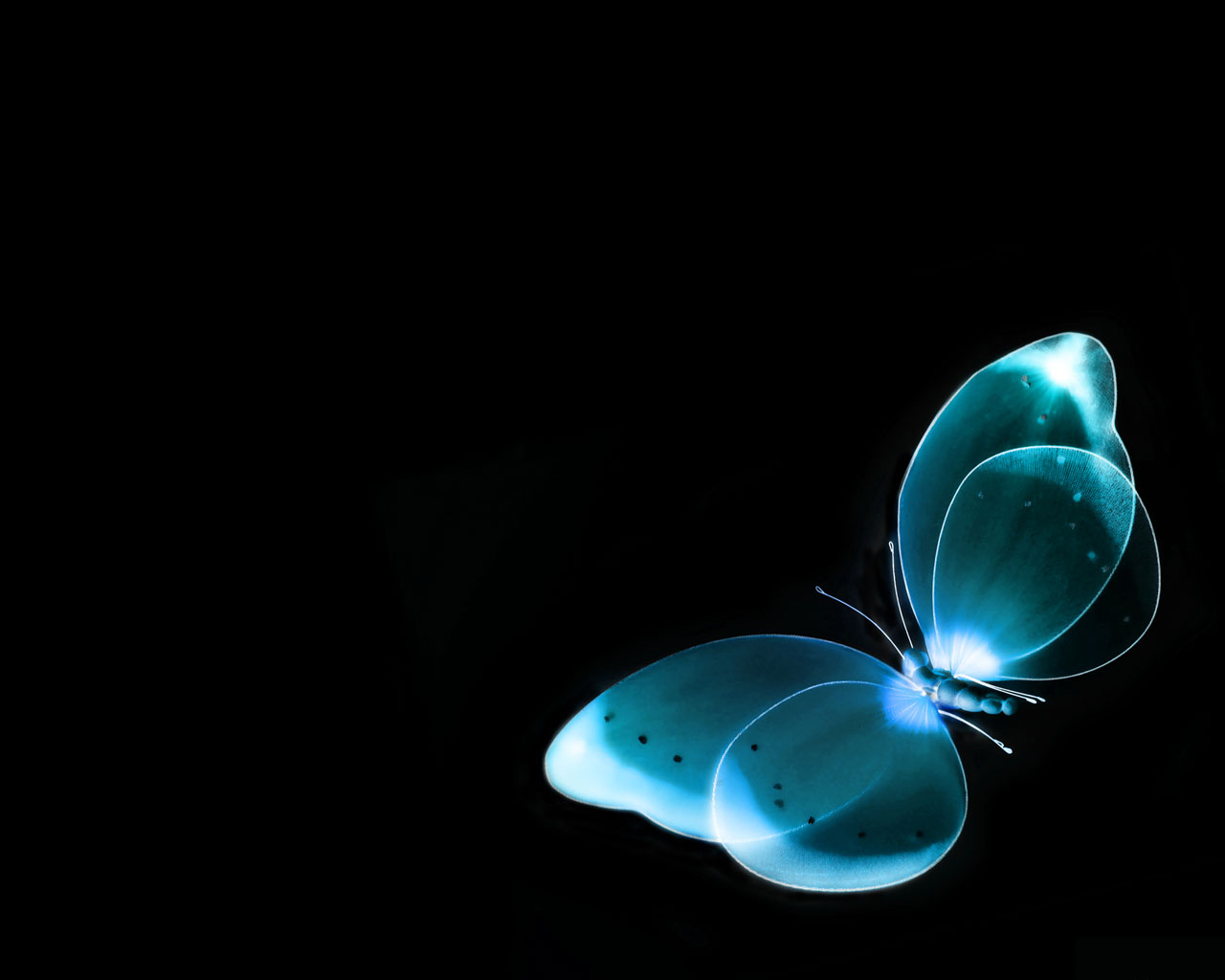 3D Butterflies Desktop Backgrounds