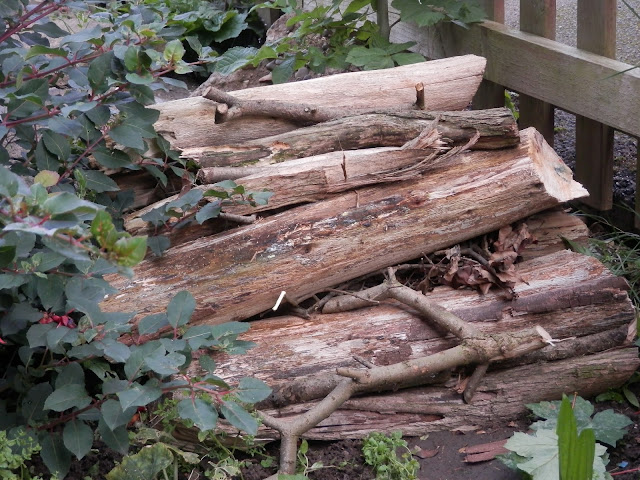 Making a Log Pile for your Garden. secondhandsusie.blogspot.co.uk