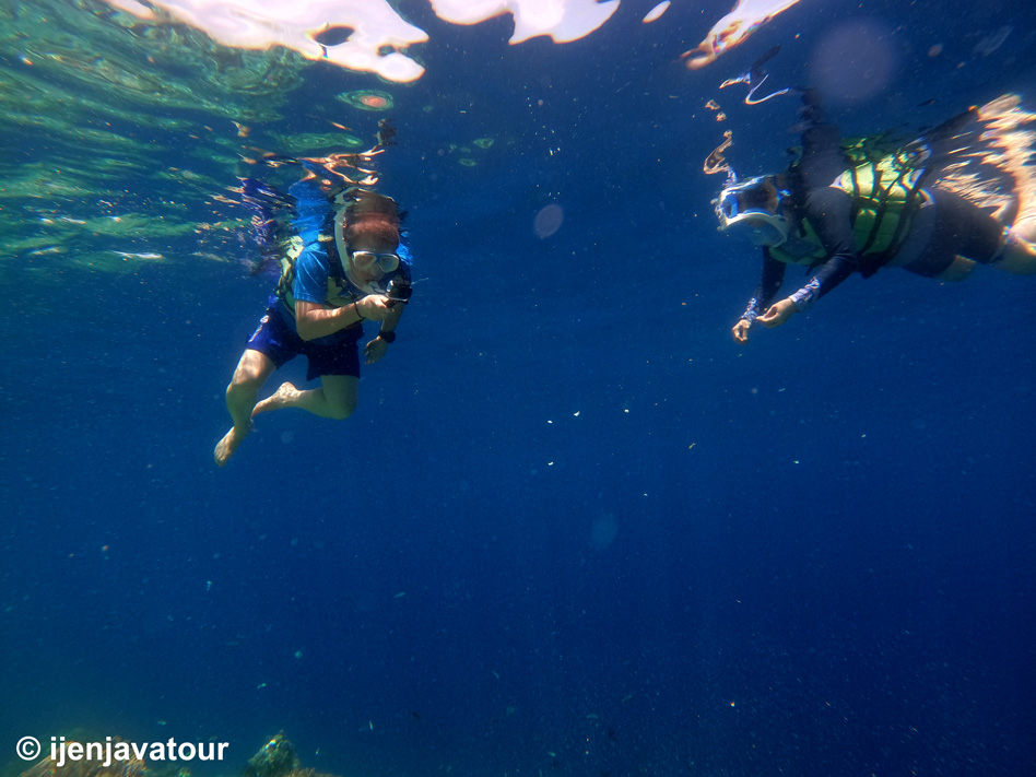 Diving & Snorkling Pulau Menjangan