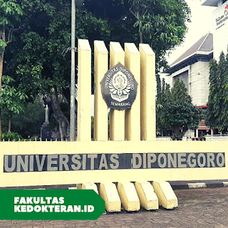 Universitas Diponegoro (Undip)