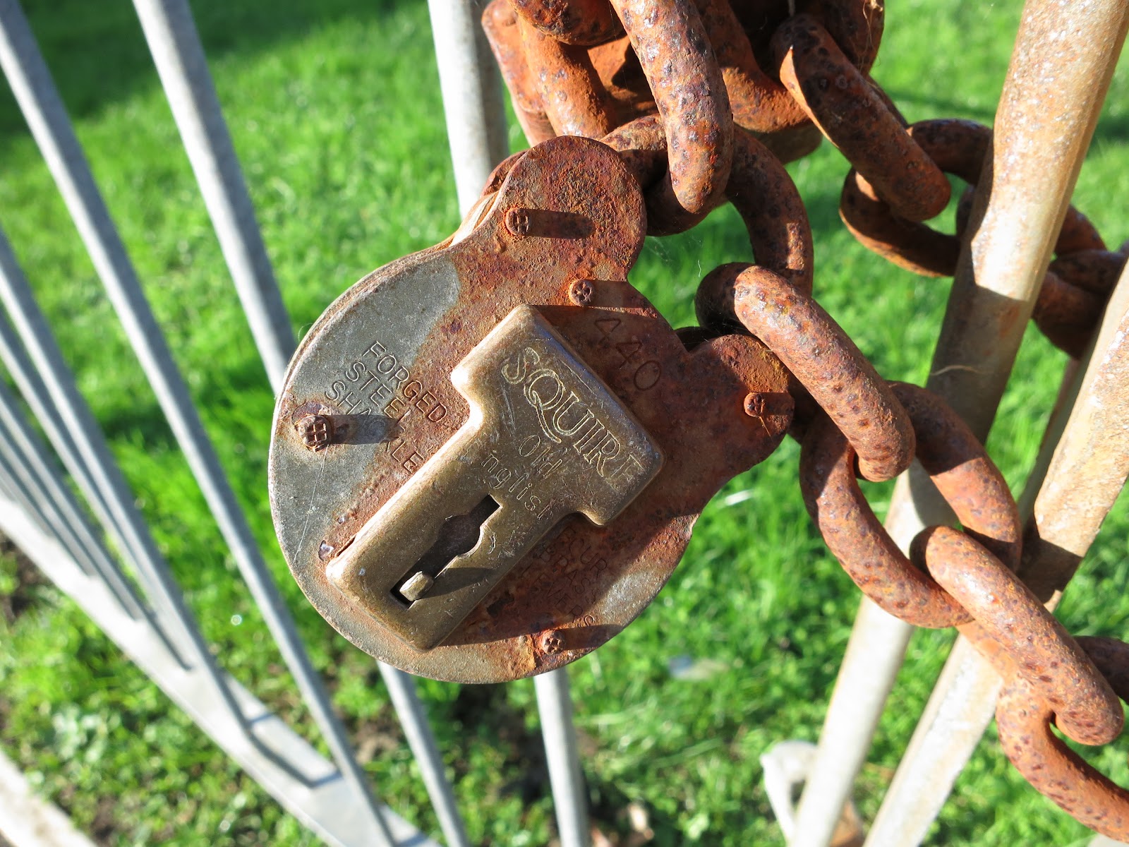 Rusty lock on railing gate
