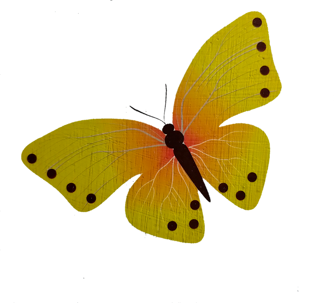 butterfly 🦋 png images