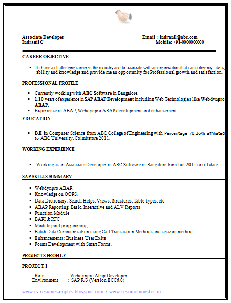 Download Now Computer Science Resume Sample