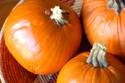 Pumpkin Season and Pumpkin Puree | www.kettlercuisine.com