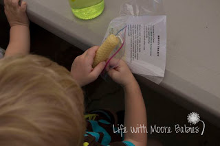 beeswax candle making