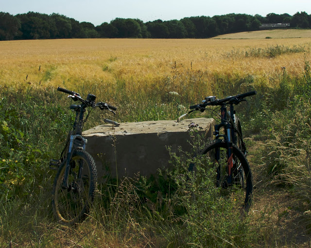 summer cycling fields