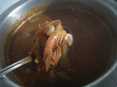 Udang