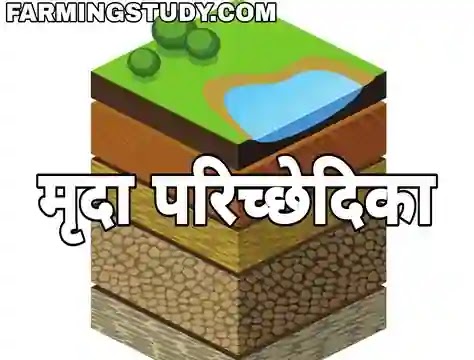 मृदा परिच्छेदिका क्या है अर्थ एवं परिभाषा, मृदा संस्तर क्या हैं, मृदा संस्तर की विभिन्न परतें, soil profile in hindi, soil profile meaning in hindi