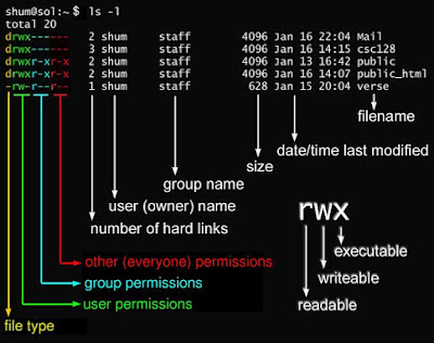 chmod command examples in unix linux