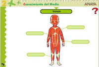 http://www.ceiploreto.es/sugerencias/A_1/Recursosdidacticos/SEGUNDO/datos/03_cmedio/03_Recursos/actividades/01/act5.htm