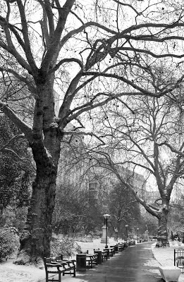 Snowy Victoria Embankment Gardens