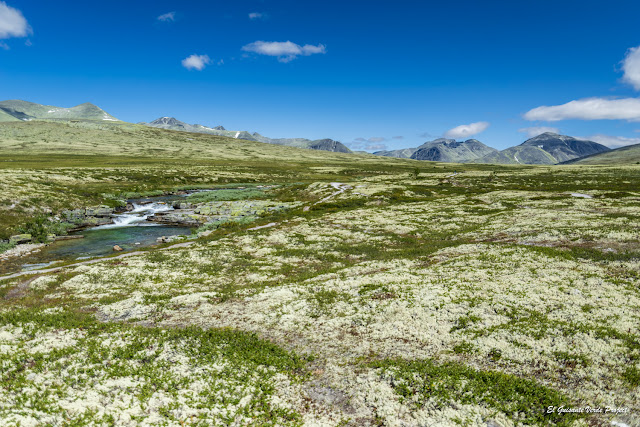 Praderas de Rondane - Noruega, por El Guisante Verde Project