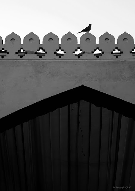 A Black and White Minimal Art Photograph of a Bird Sitting on the Patterned Side Railing of a wall at Diggi Palace Jaipur. 