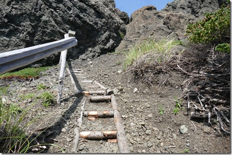 nl_corner_brook_bottlecove4