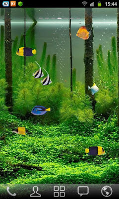 Free Aquarium Live Wallpaper  Samsung Galaxy S3