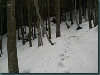 DSCN6438