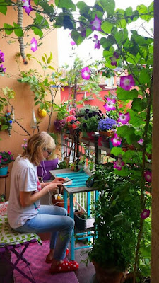 Se você é apaixonada por plantas mas tem pouco espaço em casa ou mora em um apartamento e isso está te impedindo de criar aquele jardim que sempre teve vontade, saiba que isso não precisa ser mais um problema.