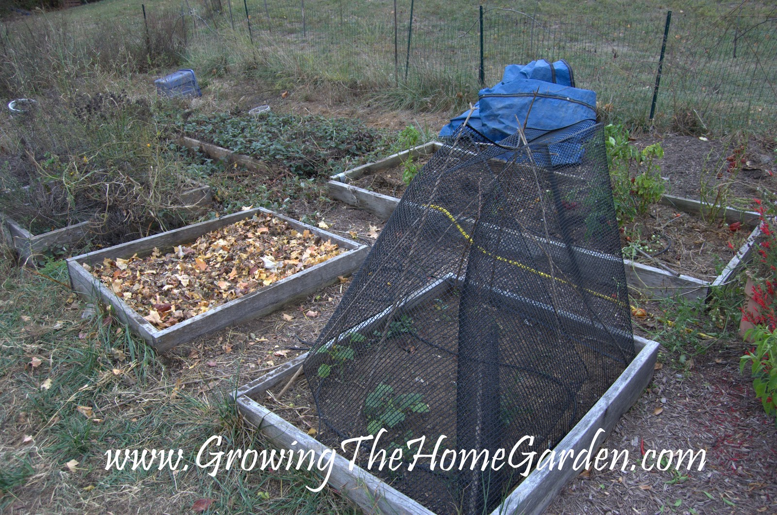 Vegetable Garden Clean Up for Fall - Growing The Home Garden