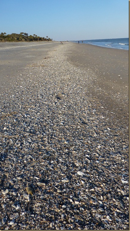 Edisto Beach State Park day 2_114