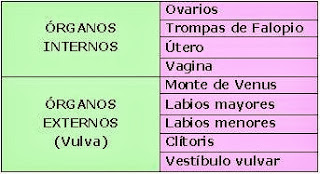 Imagen extraida de www.hnncbiol.blogspot.com.