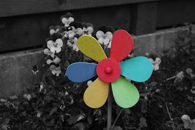 123/365 – Secret Garden