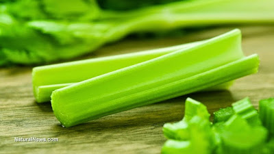 Celery may help kill cancer