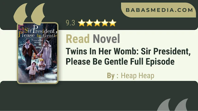 Cover Twins in Her Womb: Sir President, Please be Gentle Novel By Heap Heap