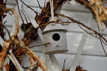 A Nesting Box