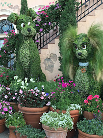 Epcot's International Flower & Garden Festival, the Lady and the Tramp Topiary