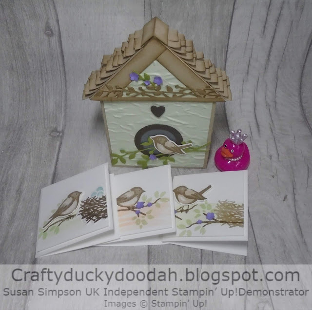 Craftyduckydoodah!, Birds & Branches, Class in the mail, Susan Simpson UK Independent Stampin' Up! Demonstrator, Supplies available 24/7 from my online store, 