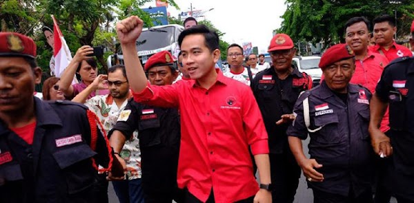Maju Pilkada Solo, Harta Gibran Rakabuming Rp 21 Miliar Utang Rp 895 Juta