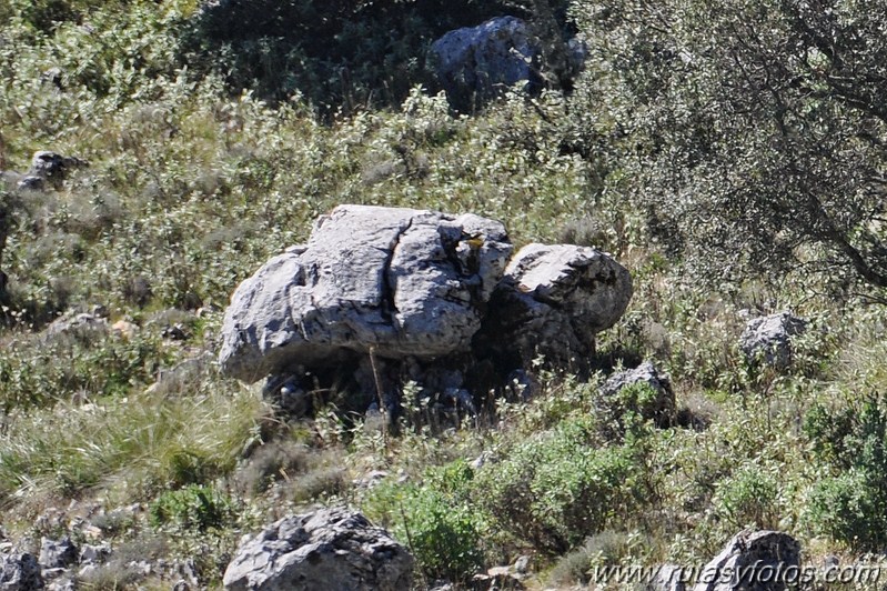 Benaocaz-El Hoyo-Jauletas-Puerto de Don Fernando