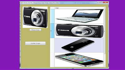  Update DataGridView Image With PictureBox In C#