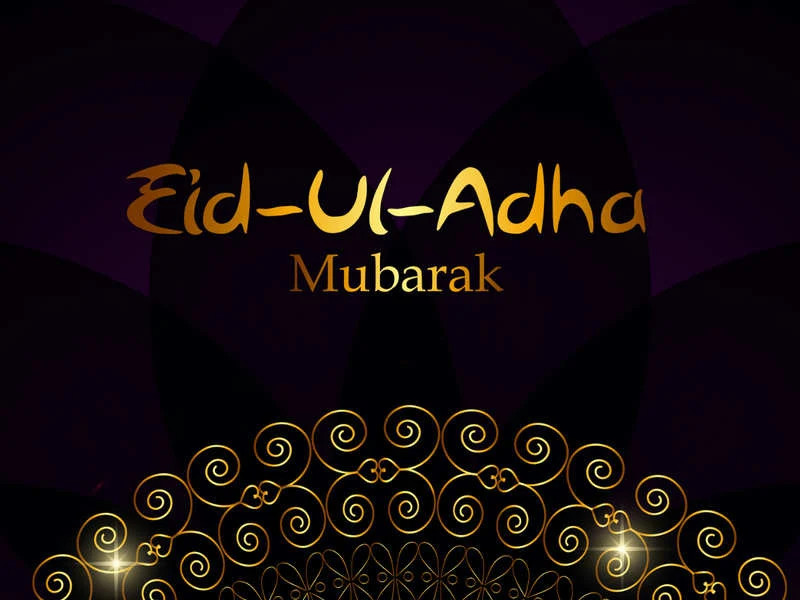 ঈদুল আজহা ২০২২ ছবি | Eid Ul Adha 2022 Picture,Photo