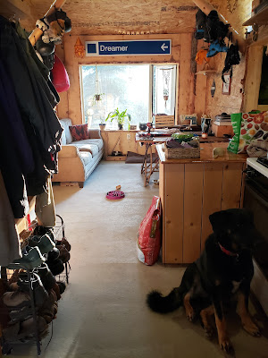 A photo of the main living quarters of the house. It is late evening and the sun is pouring through the window casting a golden glow on everything in the room. The image shows a cuttered table, a dog sitting in the foreground, and highlights the stolen ski sign above the window which reads "Dreamer" - a blue ski run sign.