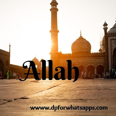 stylish allah name dp | allah name images | allah name s | allah name dp  allah name dp | allah name s | allah name images | allah name arabic | images of allah name | wallpaper allah name |beautiful allah name dp | allah name dp for whatsapp | allah name dp in english | flower allah name dp | allah name dp   pics | allah name dp hd