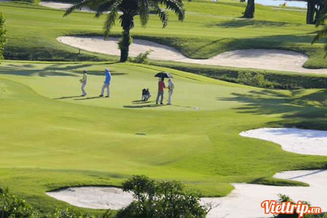 Sân Golf  - Sam Tuyền Lâm resort Đà Lạt