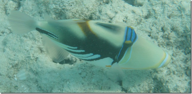 P9181393