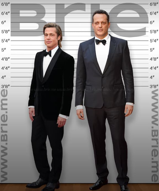 Brad Pitt height comparison with Vince Vaughn