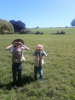 walking
