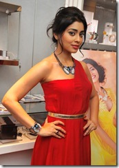 Shriya Saran Hot Stills