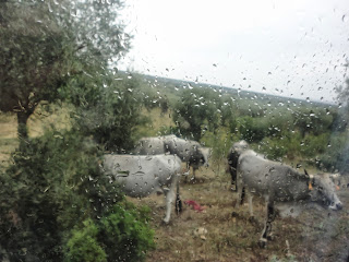 Masseria Paglicci