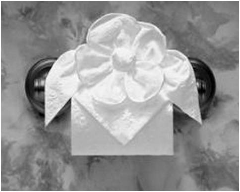 Bathroom decoration with paper tissue origami