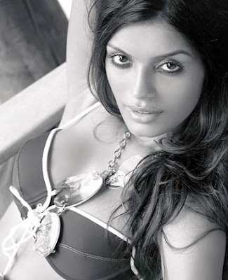 Kingfisher Calendar 2010