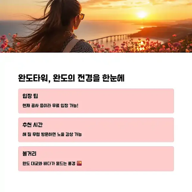 완도타워, 완도의 전경을 한눈에